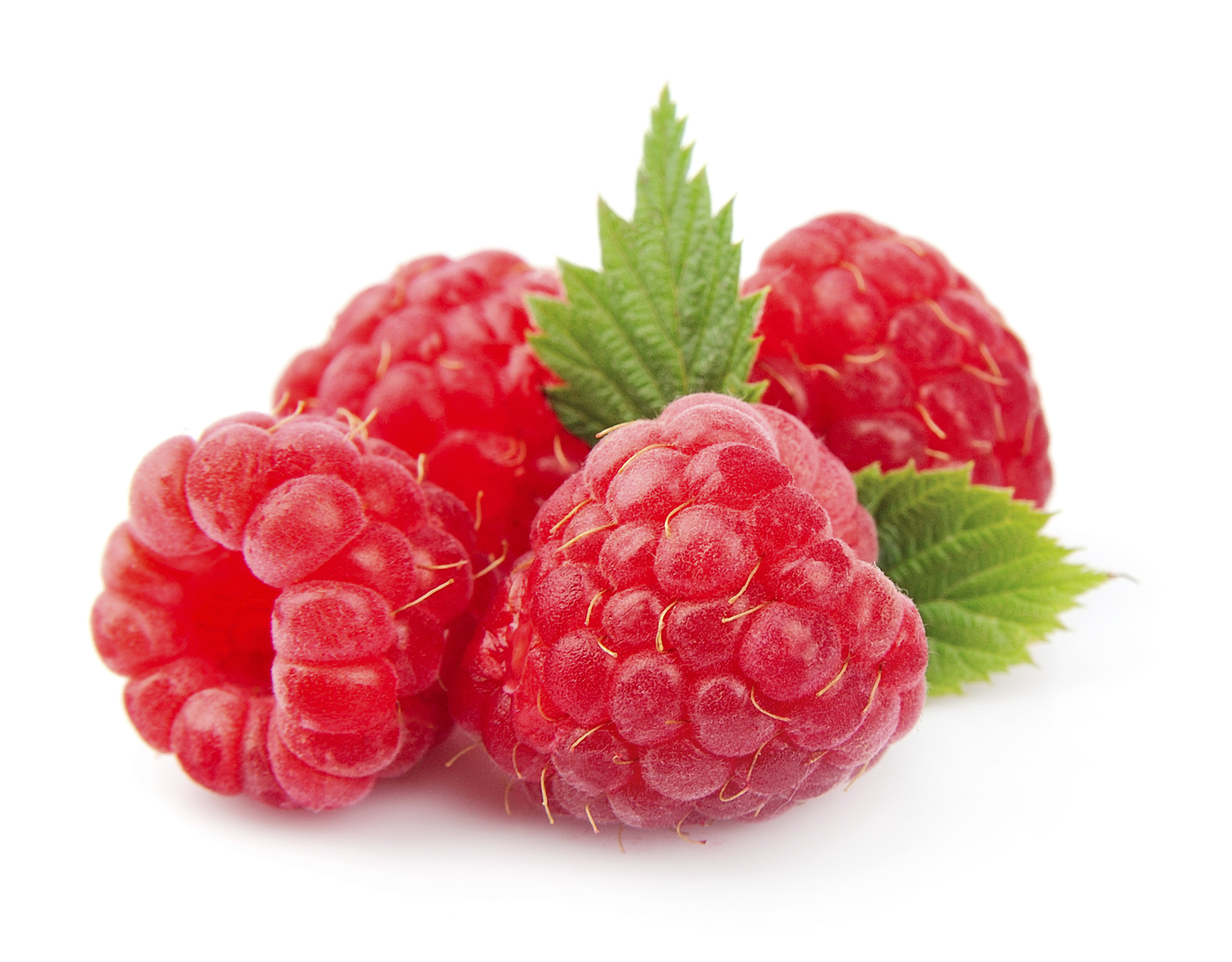 learn about Raspberry Keytones and other extracts with  Living Healthy