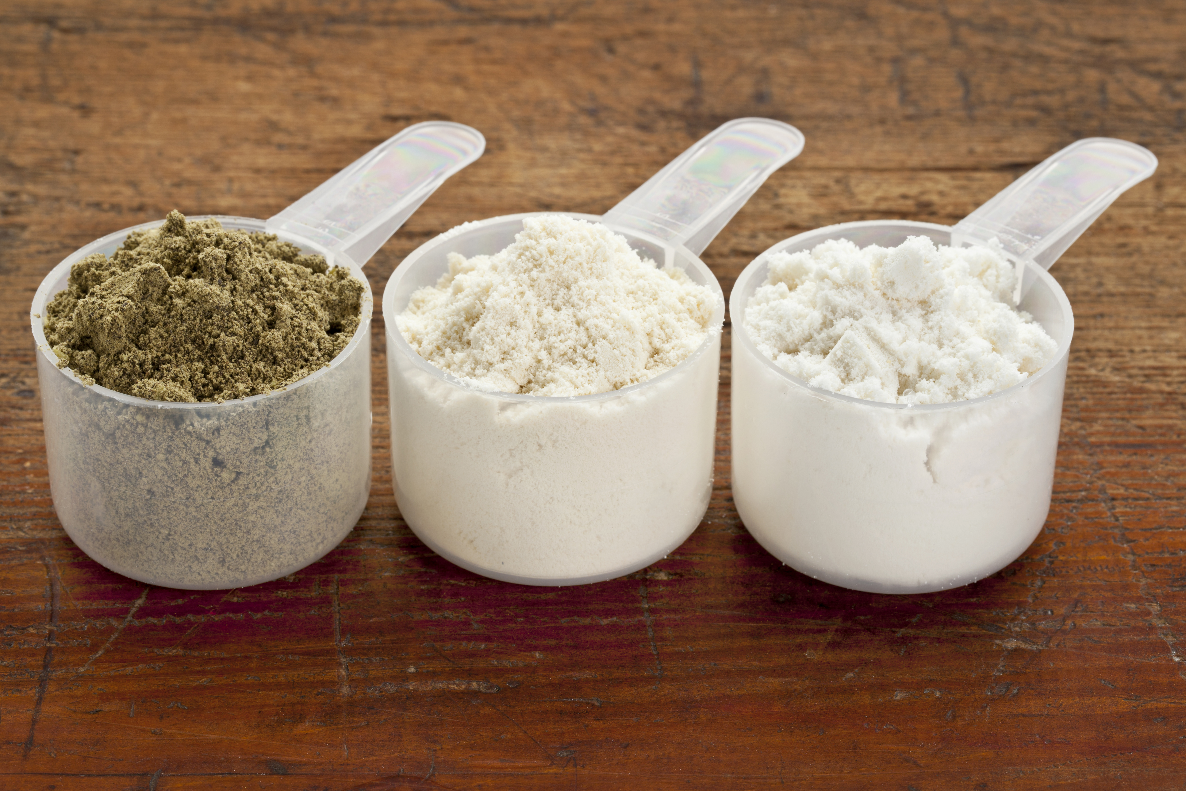 what is the ideal protein powder for you