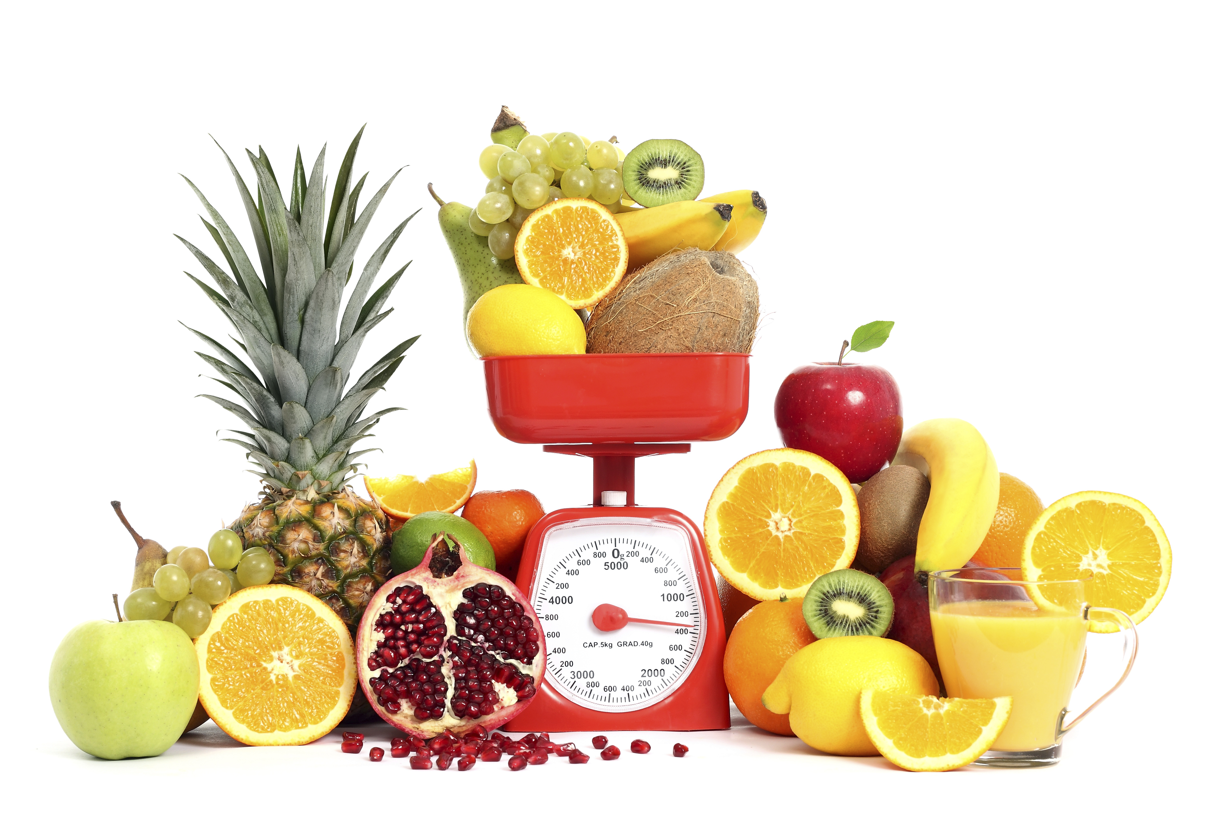 HOW TO use a Food Scale to Lose Weight 