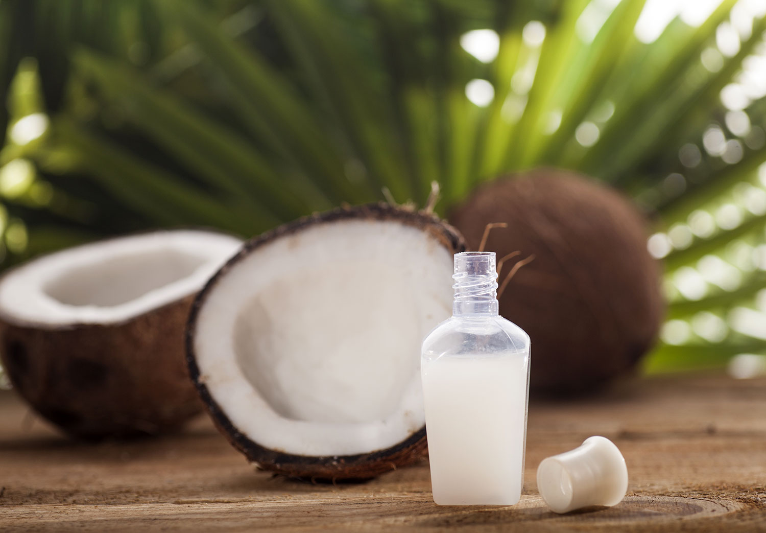 The Connection Between Coconut Oil & Endothelial Cells | Q+A